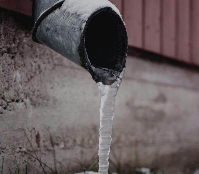 pexels-eva-bronzini-6374566